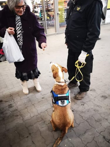 51440675_1223313924488825_4764645858425700352_n