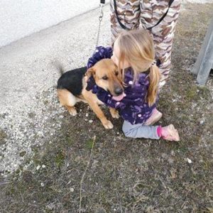 52365666_1231828750304009_8868050315874664448_n