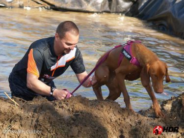 31781801_1736722616371206_1242911622192693248_n