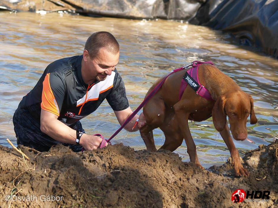 31781801_1736722616371206_1242911622192693248_n