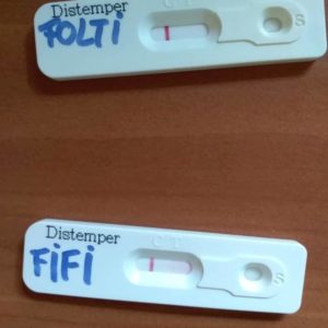 53002320_1238549506298600_1832246762304176128_n 53002320_1238549506298600_1832246762304176128_n