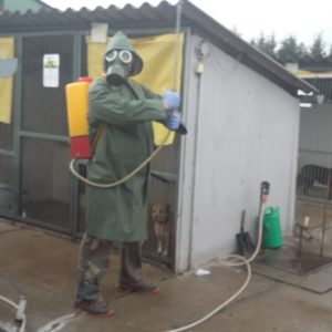 53271374_1238548922965325_1444603376607166464_o 53271374_1238548922965325_1444603376607166464_o