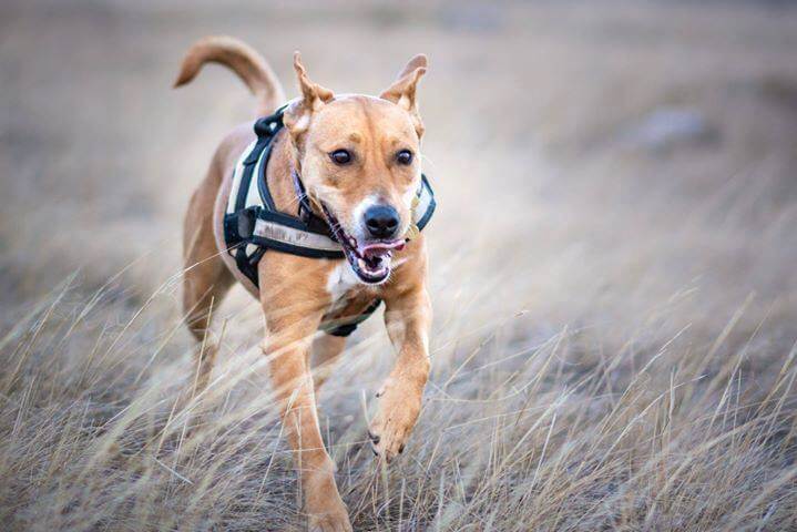 53293090_1240941022726115_4911419772991700992_n