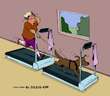 54432272_1976167299149003_6087949677737541632_n