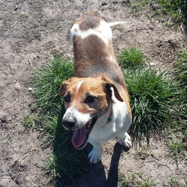 Jerry&Happy1 Jerry&Happy1