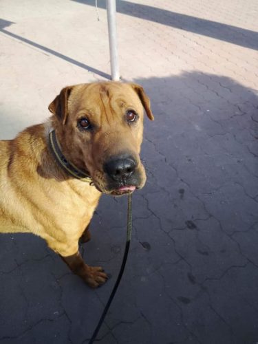 54798297_1258443704309180_1511012044973801472_n