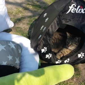 56378752_1257507381069479_6451446284850036736_o