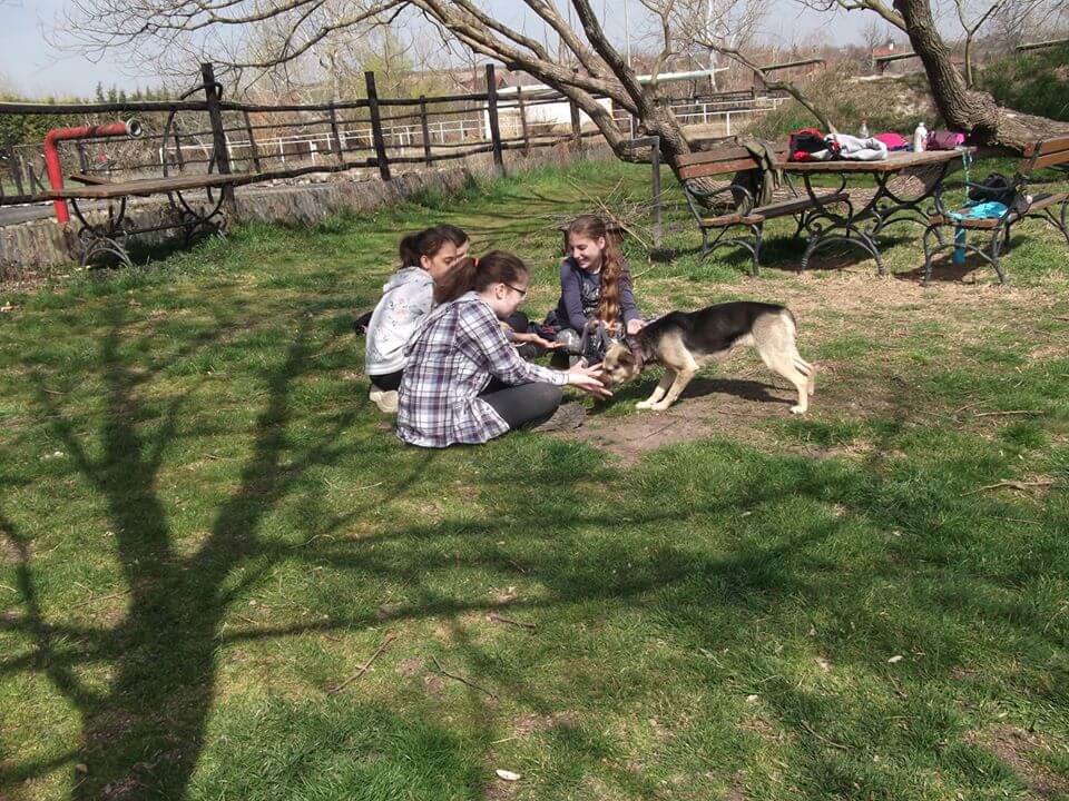 56389524_1256835427803341_4631830274039087104_n