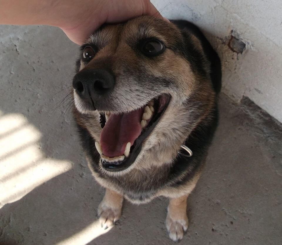 56440170_1263193383834212_7098647729793925120_n