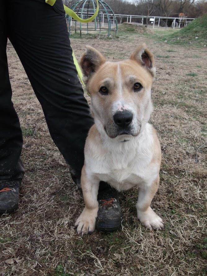 57284507_1266966873456863_1122483775754731520_n