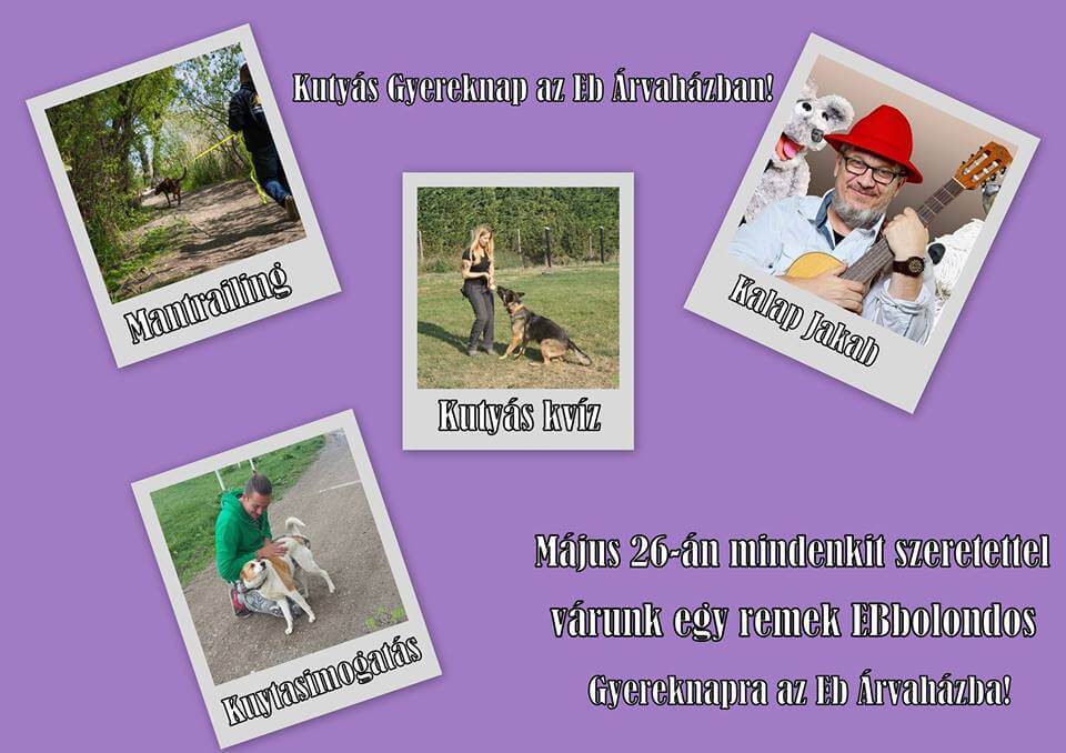 58372855_1272307322922818_4614162006943989760_n