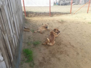 60509448_1286008424886041_6545155113969778688_n