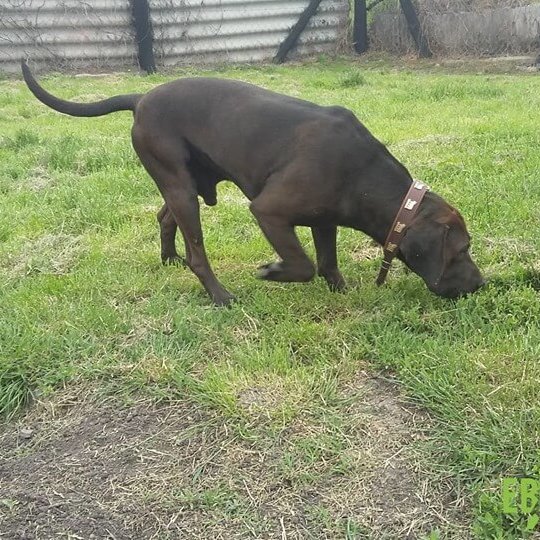 61953247_1304396919713858_1121656947305611264_n 61953247_1304396919713858_1121656947305611264_n