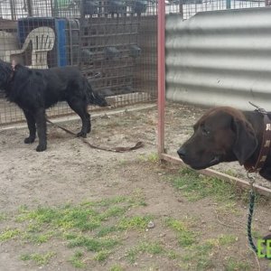 61972199_1304396833047200_3825367133907320832_n 61972199_1304396833047200_3825367133907320832_n