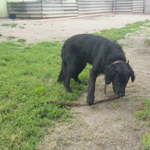 62005633_1304396926380524_3248348671510577152_n 62005633_1304396926380524_3248348671510577152_n