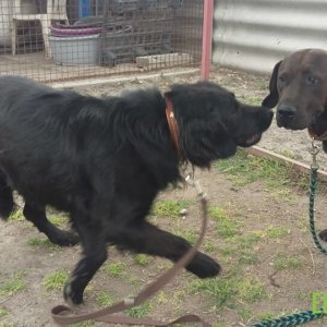 62053831_1304396836380533_7267968736605241344_n 62053831_1304396836380533_7267968736605241344_n