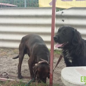 62461522_1304396823047201_3676320365597949952_n 62461522_1304396823047201_3676320365597949952_n