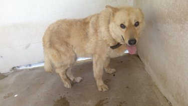 64299833_1310016249151925_8634463116412846080_n