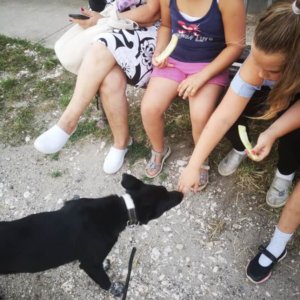 65158845_1319617344858482_2255278702835269632_n