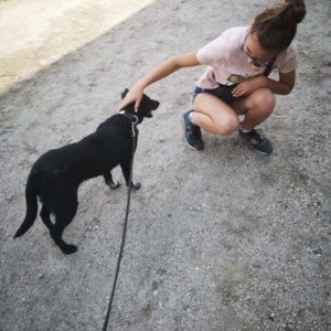 65229357_1319617264858490_1750575553989050368_n