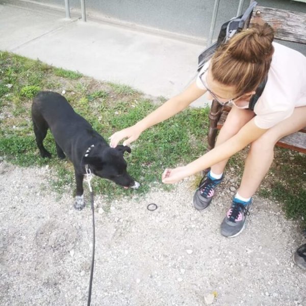 65276280_1319617278191822_3814002006197010432_n