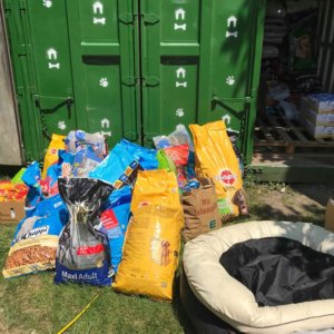 65809073_1322447794575437_1927823824888266752_n