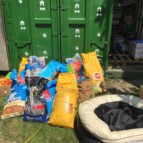 65809073_1322447794575437_1927823824888266752_n