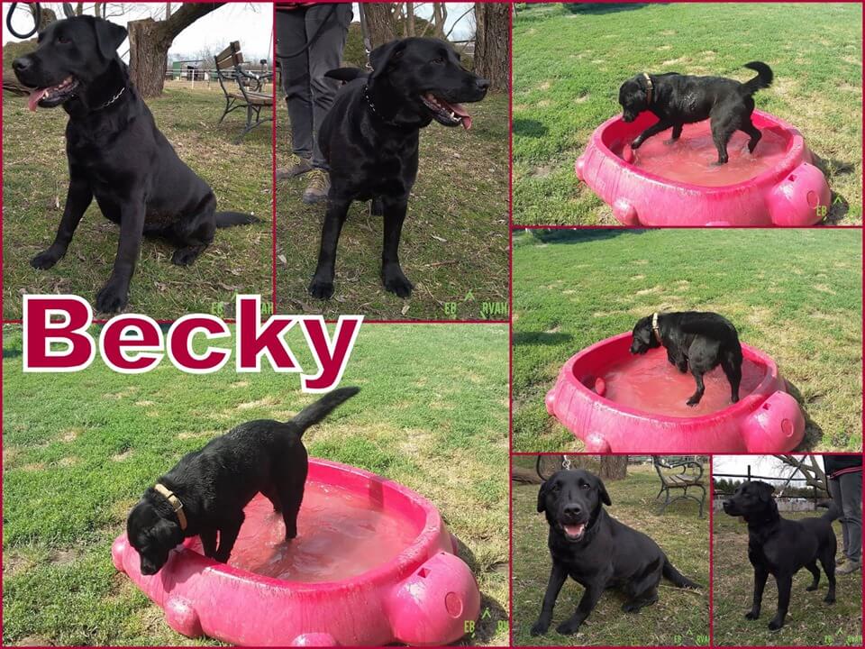 65598333_1324137827739767_8289316035518005248_n