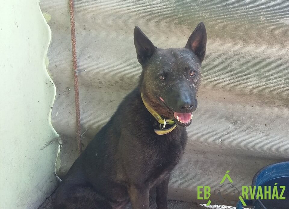 65945261_1325830217570528_2193873091547889664_n