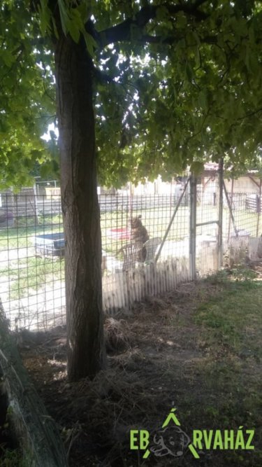 66593873_1329872533832963_1195884363116445696_n