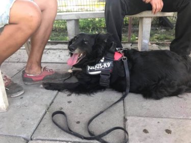 67825389_1354592104694339_3820274127327985664_n