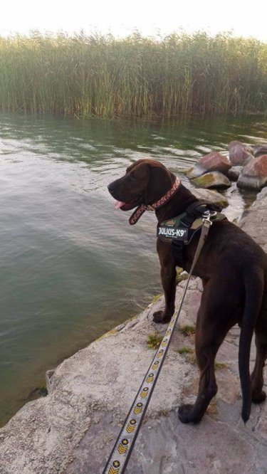 67831667_1355915831228633_2298988460452610048_n