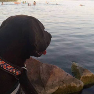 69132712_1355915881228628_717934187599888384_n