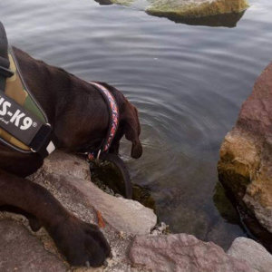 69303827_1355915827895300_9164236277128626176_n