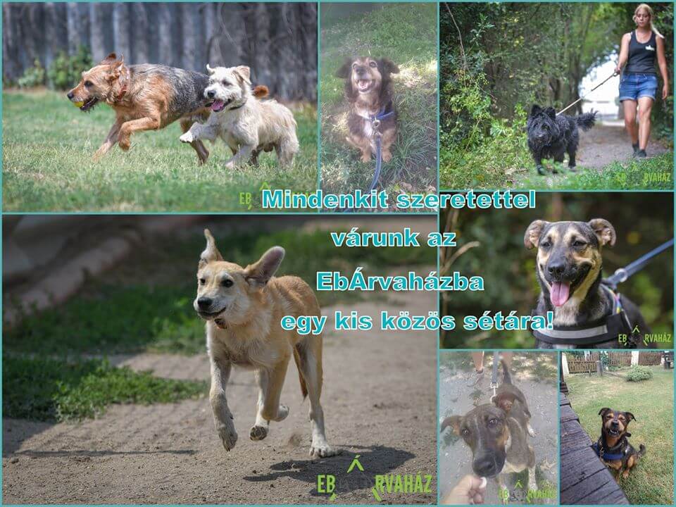 69940030_1379493062204243_209205718094446592_o