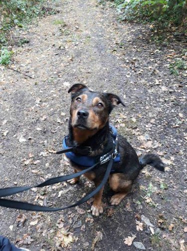 70664180_1376332345853648_322043687305478144_n