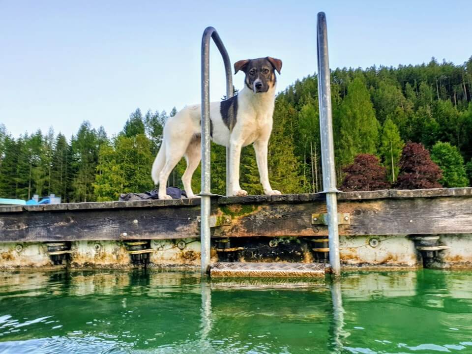 70878215_1382655625221320_7740497443623534592_n