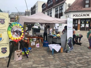 71027173_602291306969027_351509937504911360_n