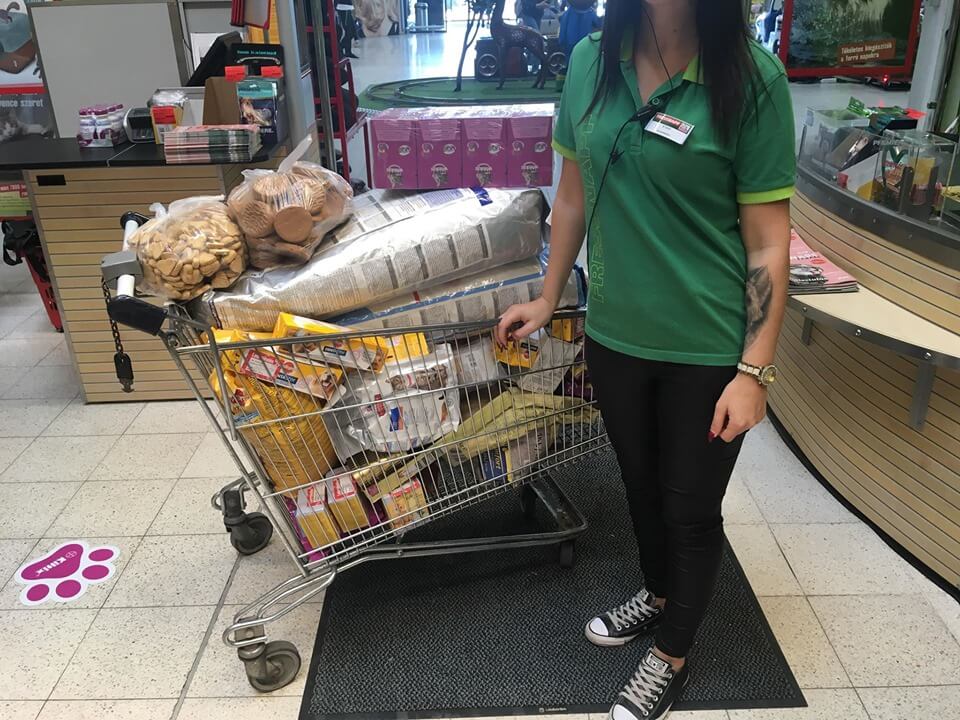 71069392_1384334265053456_4569481938905071616_n