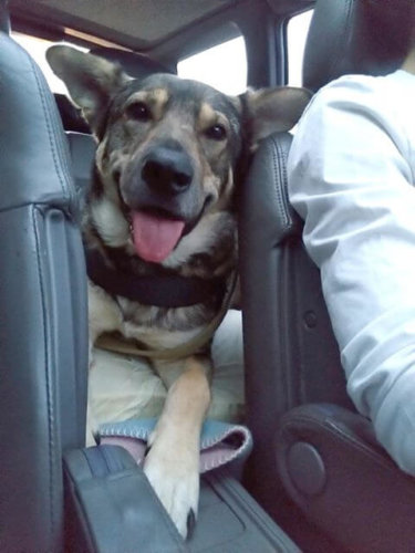 71168468_1388256967994519_6286606376332427264_n