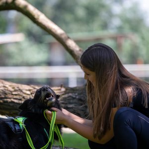 A62U2670_2 A62U2670_2