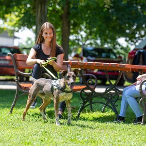 A62U2773_2 A62U2773_2