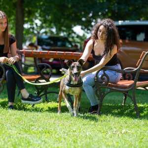 A62U2778_2 A62U2778_2