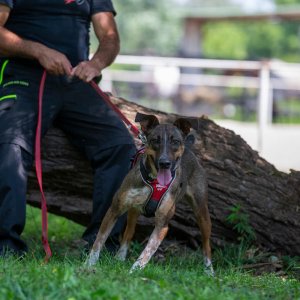 A62U2802_2 A62U2802_2