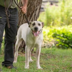 Honney17_0 Honney17_0