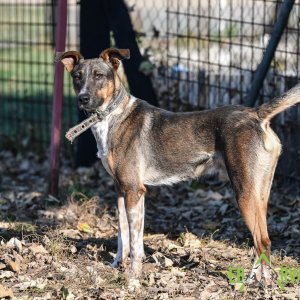 Jockey10_2 Jockey10_2