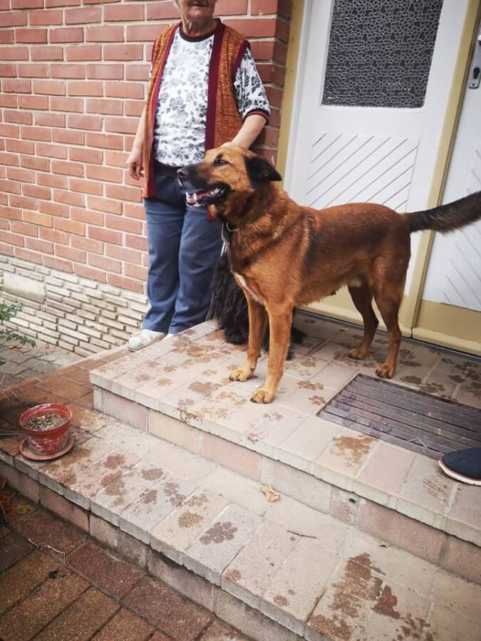 72044953_403226207262897_1319191061708406784_n