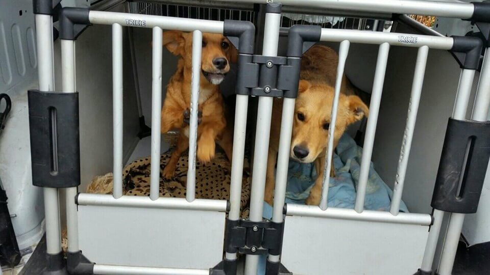 72294123_699230703886303_5519794932623081472_n