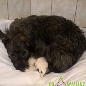 Jessica babák_2019.10.27._1 Jessica babák_2019.10.27._1