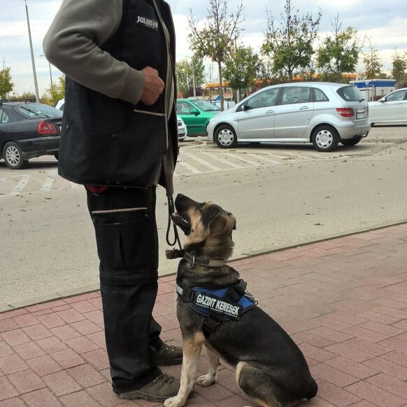 Utcai tréning_Rella-Chuck_2019.10.16._3